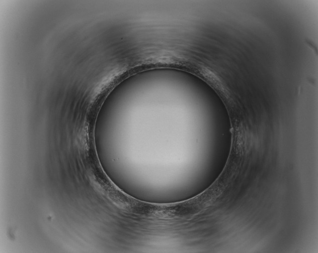 X0000100230680200806061410