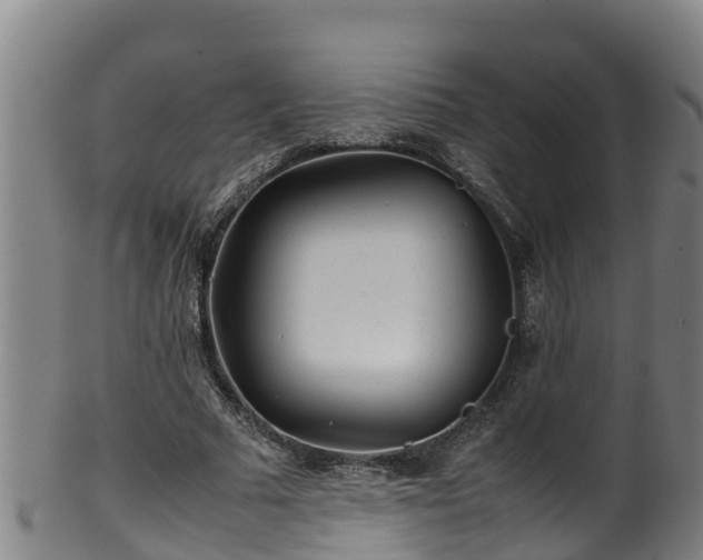 X0000100230681200806061409