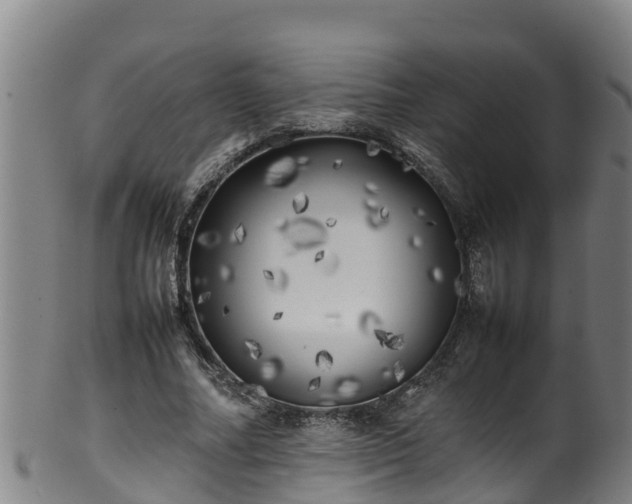 X0000100230682200806061409