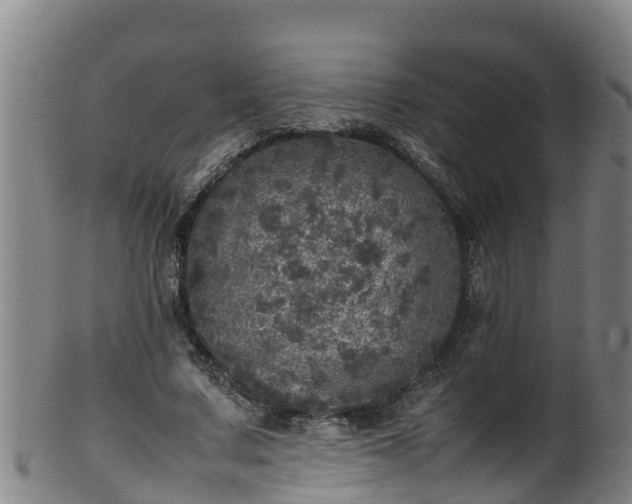 X0000100230683200806061409