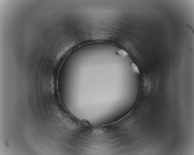 X0000100230684200806061409