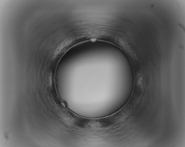 X0000100230685200806061409