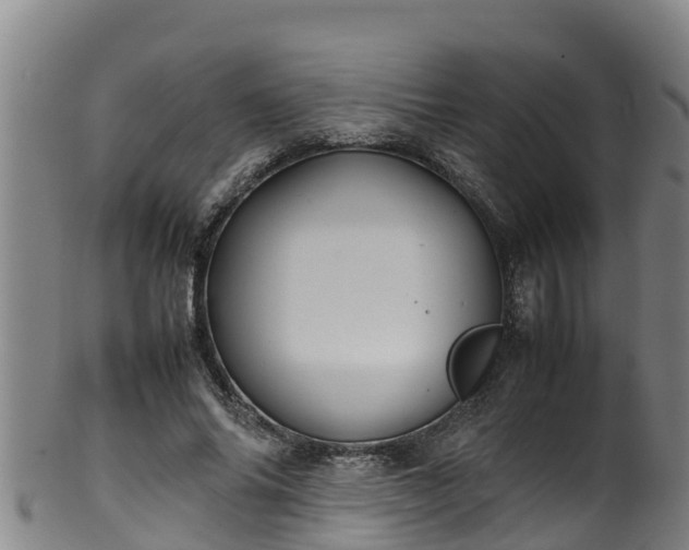 X0000100230686200806061409