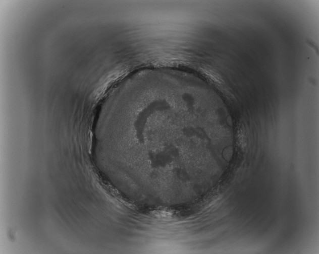 X0000100230687200806061409