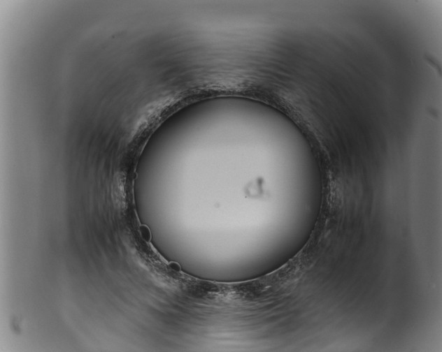 X0000100230688200806061409