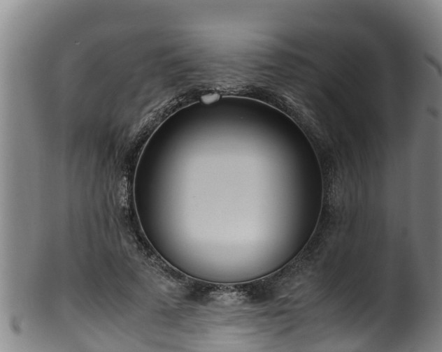 X0000100230689200806061409