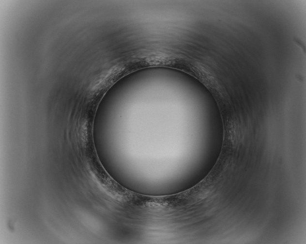 X0000100230690200806061409