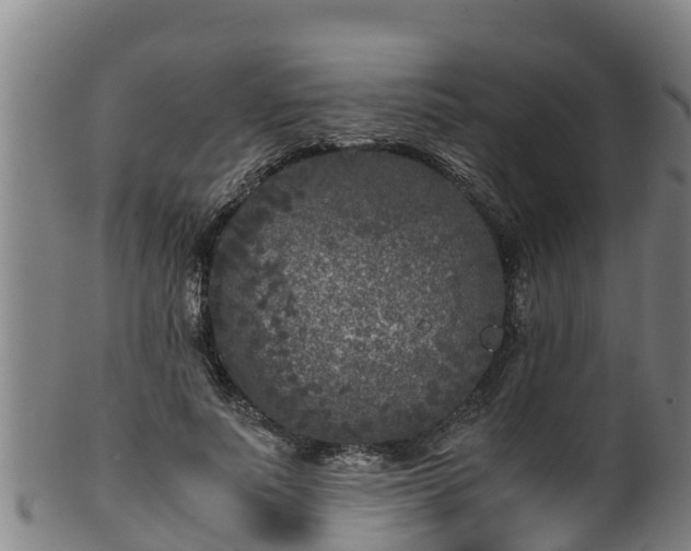 X0000100230691200806061409