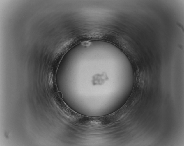 X0000100230692200806061409