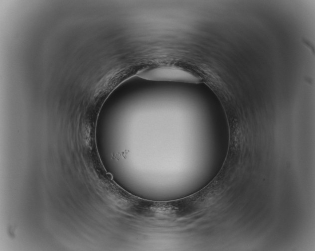 X0000100230693200806061409