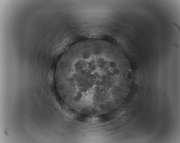 X0000100230695200806061409