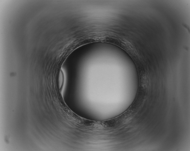 X0000100230697200806061409