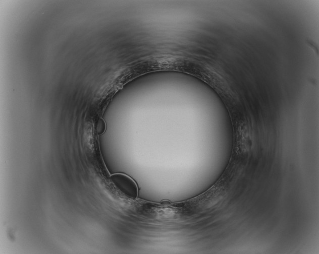 X0000100230698200806061409