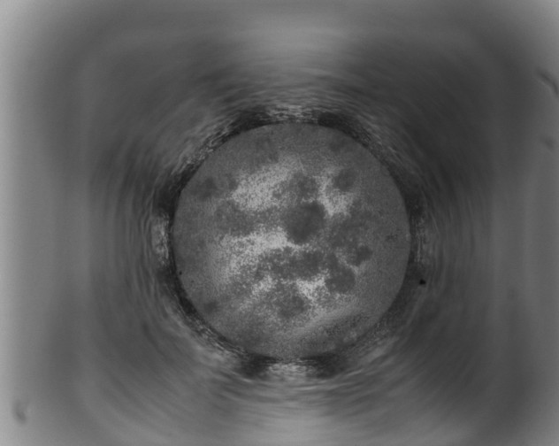 X0000100230699200806061409