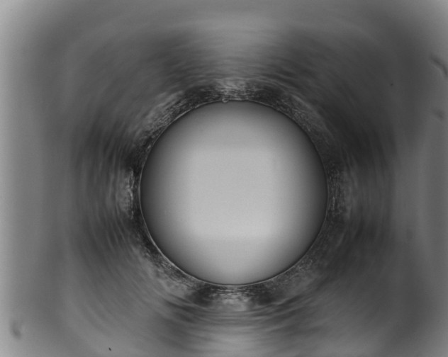 X0000100230702200806061409