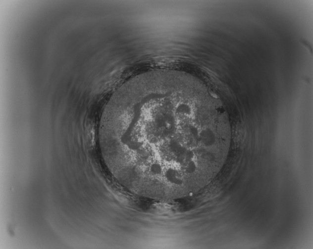 X0000100230703200806061409