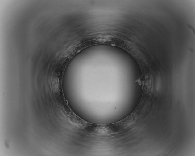 X0000100230704200806061409