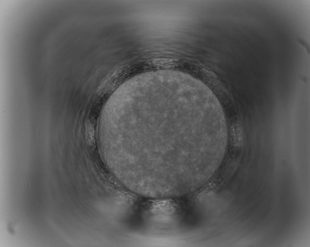 X0000100230705200806061409