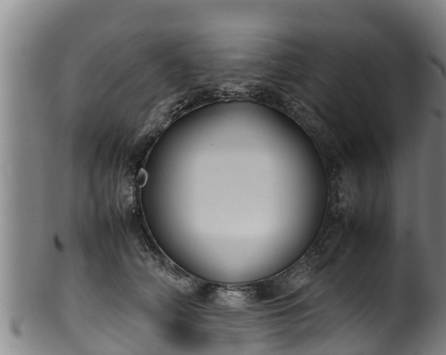 X0000100230706200806061409