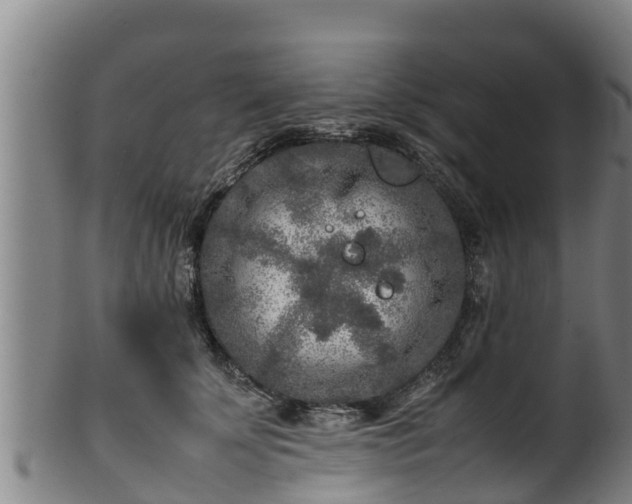 X0000100230707200806061409