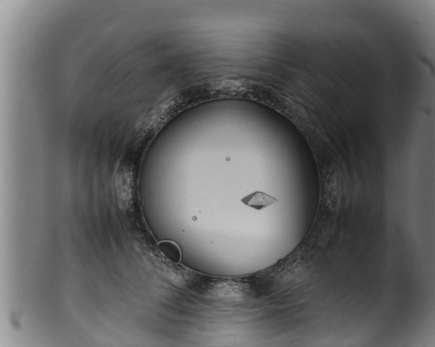 X0000100230708200806061409