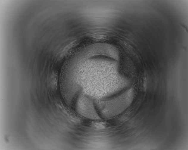 X0000100230710200806061409