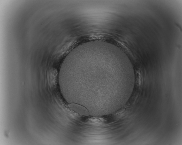 X0000100230712200806061409