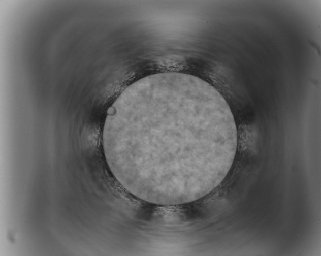 X0000100230713200806061409