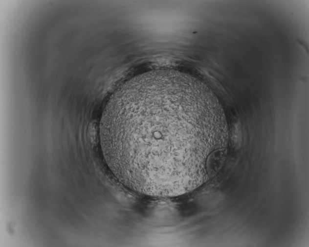 X0000100230715200806061409