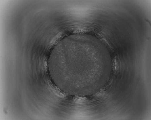 X0000100230716200806061409