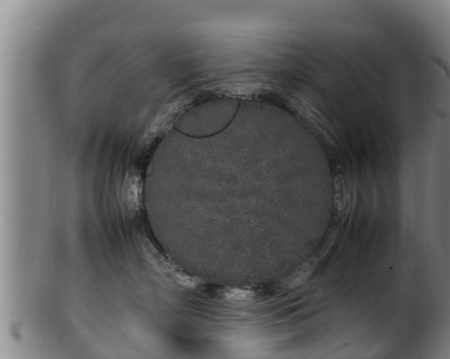 X0000100230718200806061409