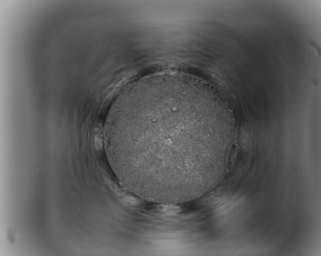 X0000100230719200806061409