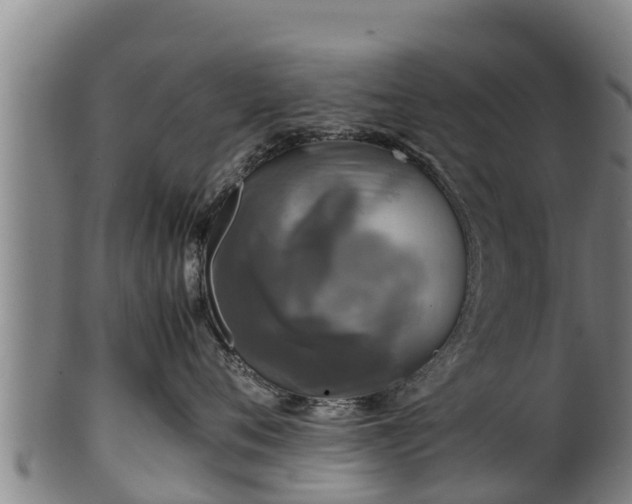 X0000100230720200806061409