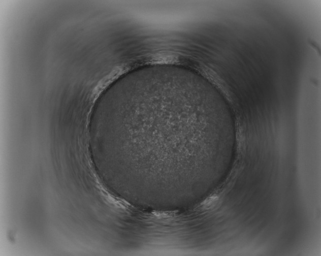 X0000100230721200806061408