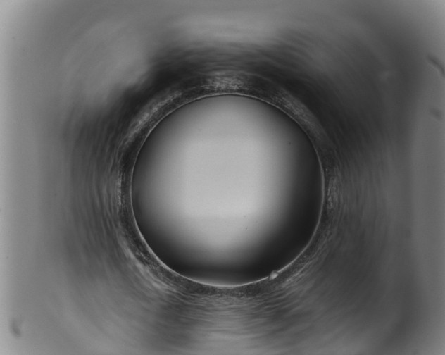 X0000100230722200806061408