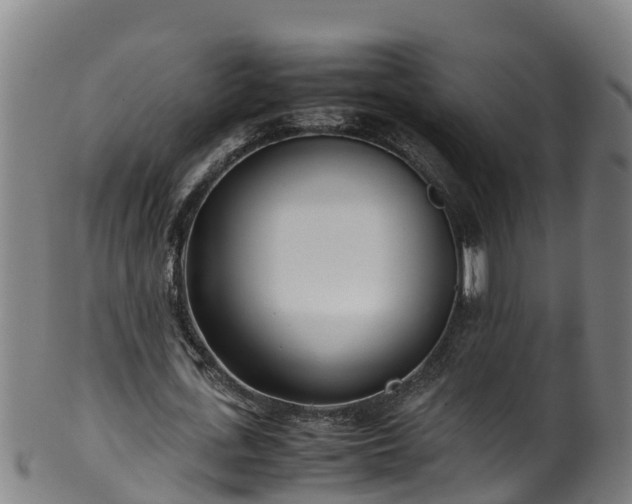 X0000100230723200806061408