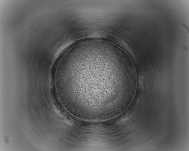 X0000100230724200806061408