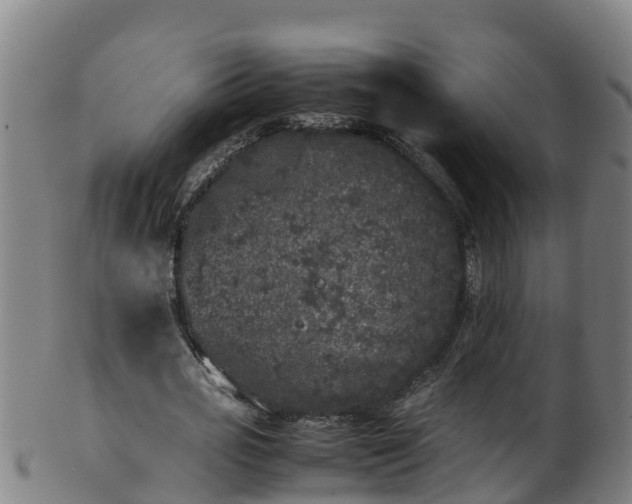 X0000100230725200806061408