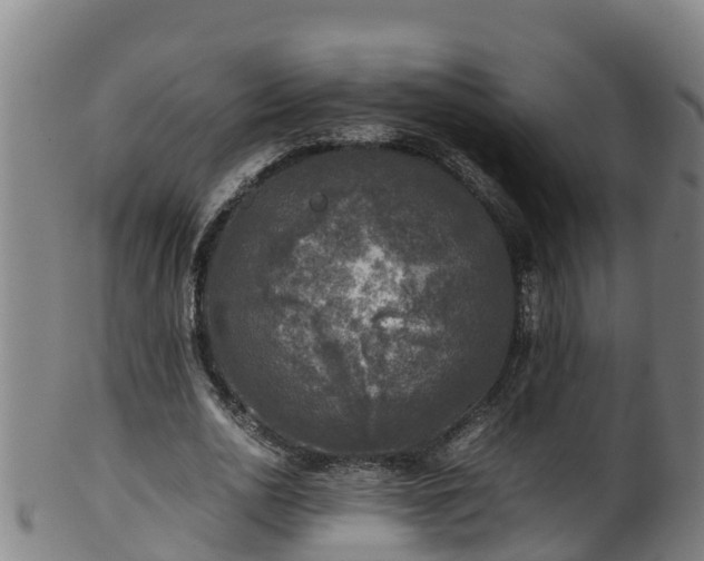 X0000100230726200806061408