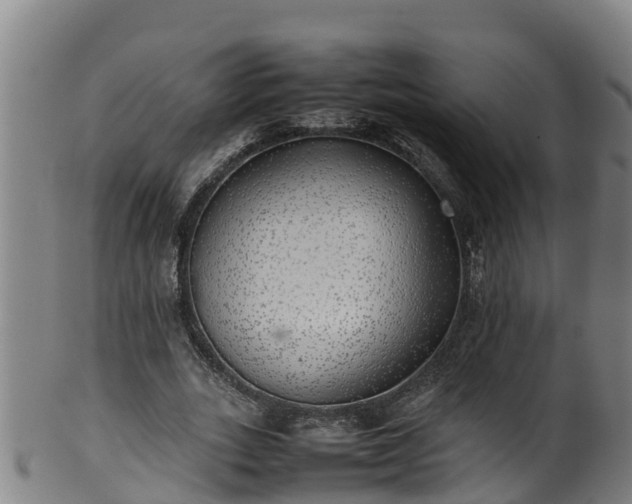 X0000100230727200806061408