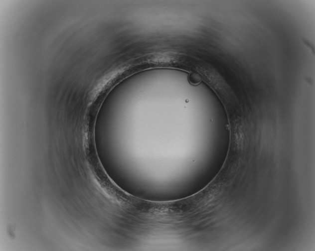 X0000100230728200806061408