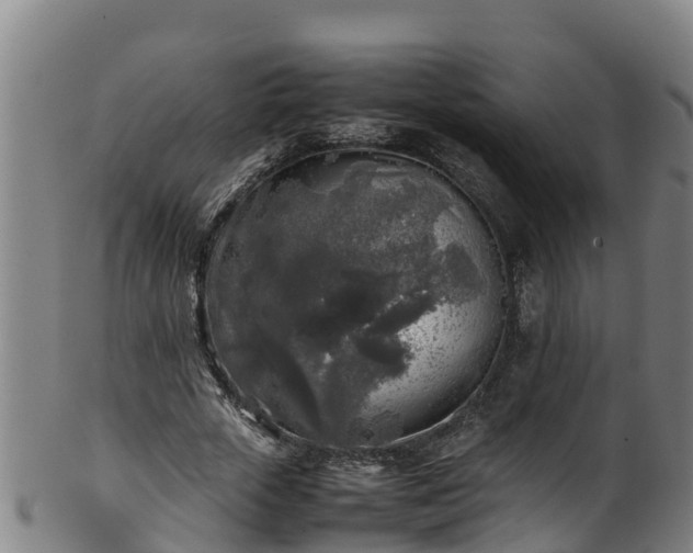 X0000100230729200806061408