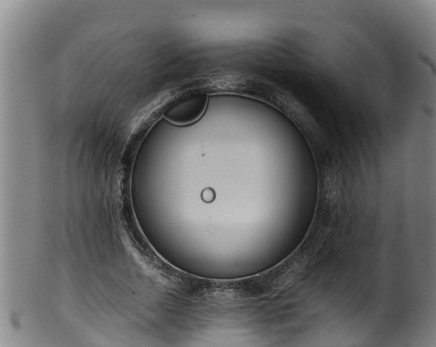 X0000100230730200806061408