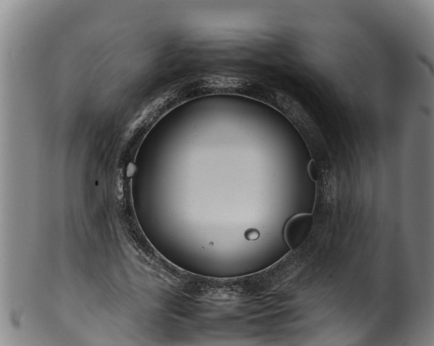 X0000100230731200806061408