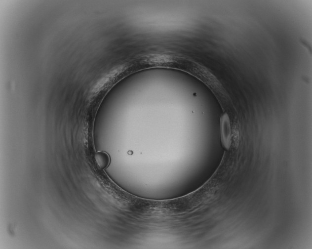 X0000100230732200806061408