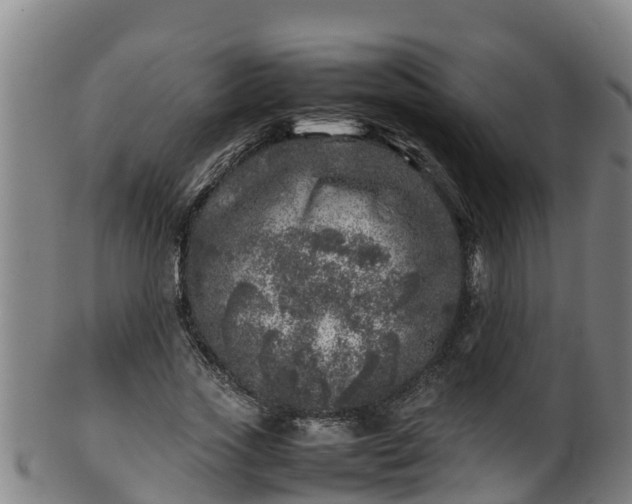 X0000100230733200806061408