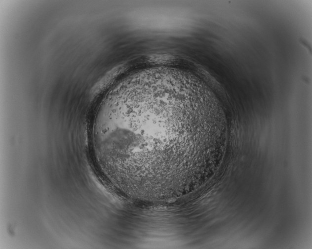 X0000100230734200806061408