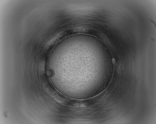 X0000100230735200806061408