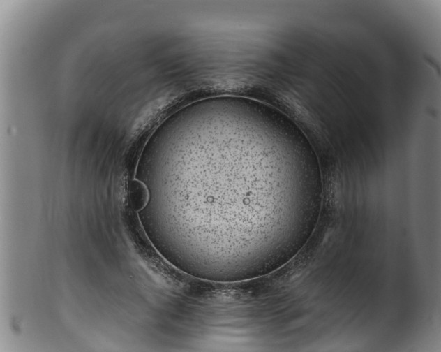 X0000100230736200806061408