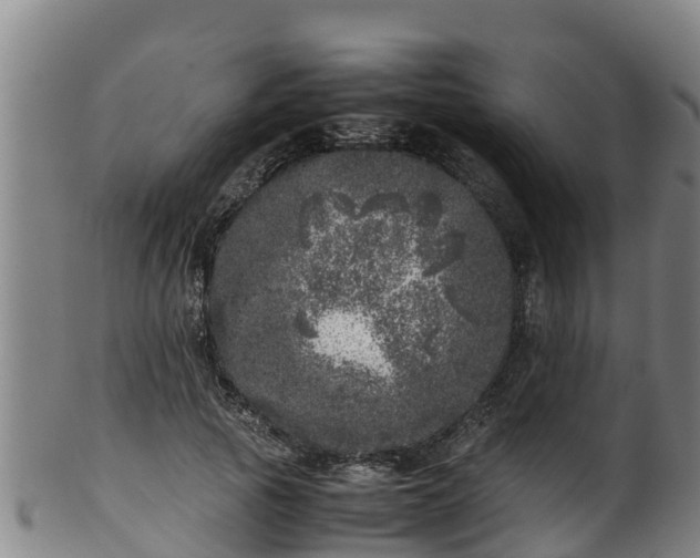 X0000100230737200806061408